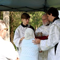 Image description