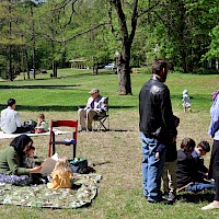 Image description