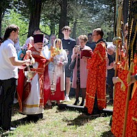 Image description