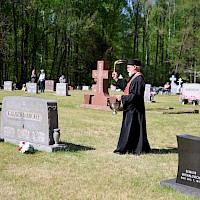 Image description