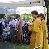 Image description